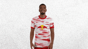 Football Sport GIF by RB Leipzig