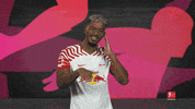 Rb Leipzig Dj GIF by Bundesliga