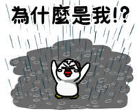 chick thechick Sticker by 盜哥-大陰盜百貨CEO