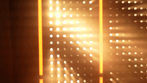 Softball Tennessee GIF by NCAA Championships