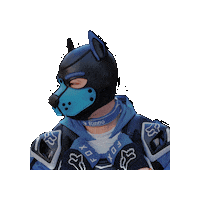 Blue Fox Sticker