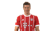proud fc bayern Sticker by Bundesliga