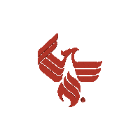 werise uopx Sticker by University of Phoenix
