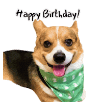 Happy Corgi Sticker