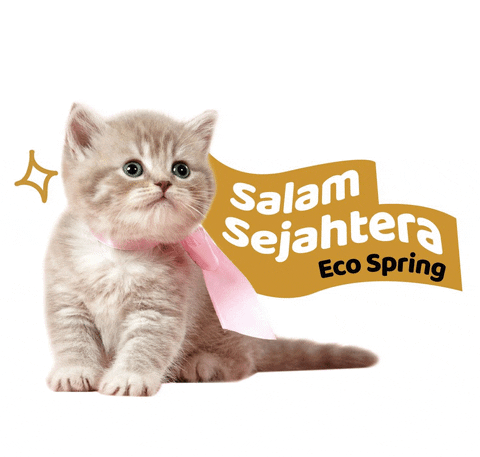 Cat Hello GIF by Eco Spring  at Iskandar Malaysia