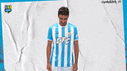 Football Sport GIF by ChemnitzerFC