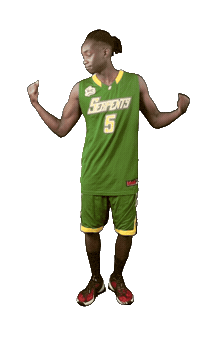 Basketball Power Sticker by ACSL - Austrian College Sports League