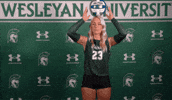 Iwuwvb24 GIF by iwusports