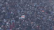 Stock Car Racing GIF by NASCAR