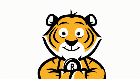 Tiger Mascot GIF by Timescaledb
