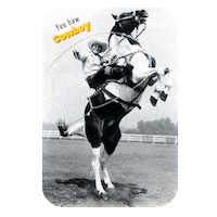 Horse Country Sticker by Primapolo Productions