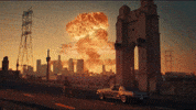Happy Running Wild GIF