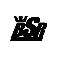 Queen Shoes Sticker by By Samii Ryan