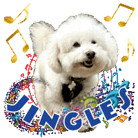 Bichon Frise Cute Dog Sticker by Pimp Yo Pets