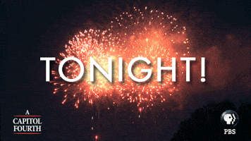 independence day fireworks GIF by PBS