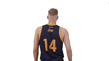 Sport Basketball Sticker by Basket_fi