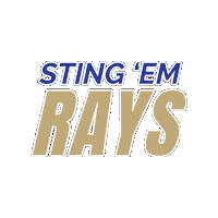 Lets Go Rays Sticker by Divine Savior Academy