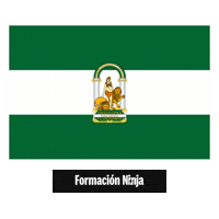 Flag Spain Sticker by Formación Ninja