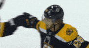 ice hockey spinning GIF by NHL
