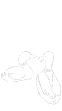 Art Love Sticker by Molly Saunders