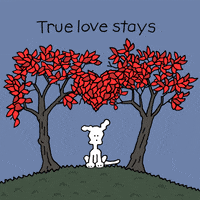 I Love You Heart GIF by Chippy the Dog