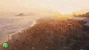 Rio De Janeiro Surf GIF by Zero21 Surfboards
