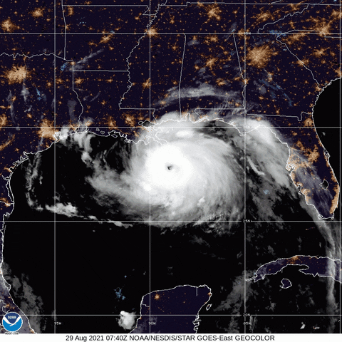 ColoradoPols giphyupload GIF