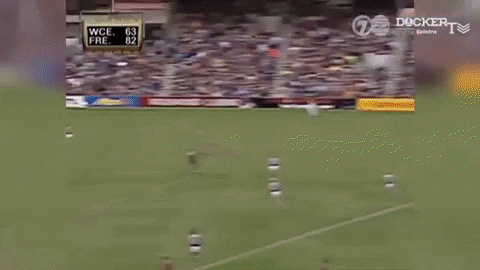 tomfreo giphyupload GIF