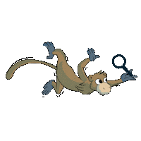 Monkey Search Sticker by vrpixel communication agency