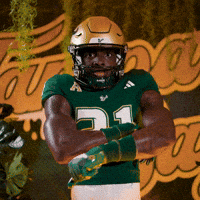 College Football GIF by USF Athletics