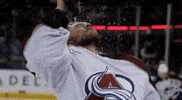 Happy Colorado Avalanche GIF by NHL