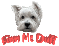 Dog Finn Sticker
