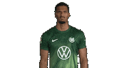 Germany No Sticker by VfL Wolfsburg