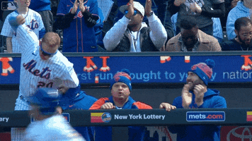 Excited Major League Baseball GIF by New York Mets