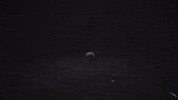 GIF by Wired Productions