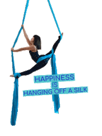 Happiness Circus Sticker by Starz Aerial