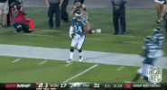 philadelphia eagles football GIF by NFL