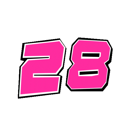 N° 28