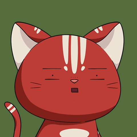 Cat Wow GIF by Kitaro World