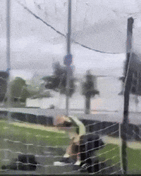 Mark Rudy GIF