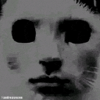 Cat Dark GIF