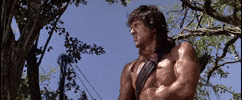 Rambo Lionsgate GIF by Rambo: Last Blood