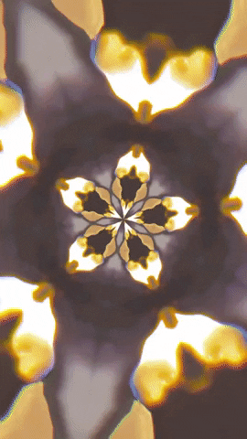Art Morph GIF by Aleksey Efremov