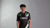 GIF by Reply Totem