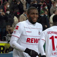 1 Fc Cologne Football GIF by 1. FC Köln