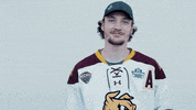 ncaasports hockey college ncaa ice GIF