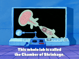 season 4 GIF by SpongeBob SquarePants