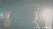 CherishTheDay own oprah winfrey network ava duvernay own oprah winfrey network GIF