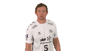 Handball-Bundesliga Hello Sticker by LIQUI MOLY HBL