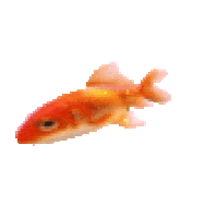 Art Pixel Sticker